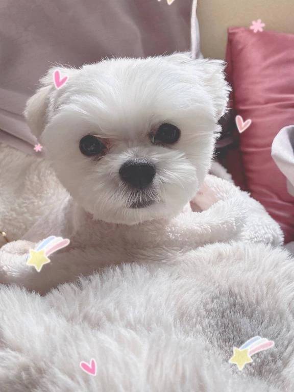 早くからのご予約ありがと❤️