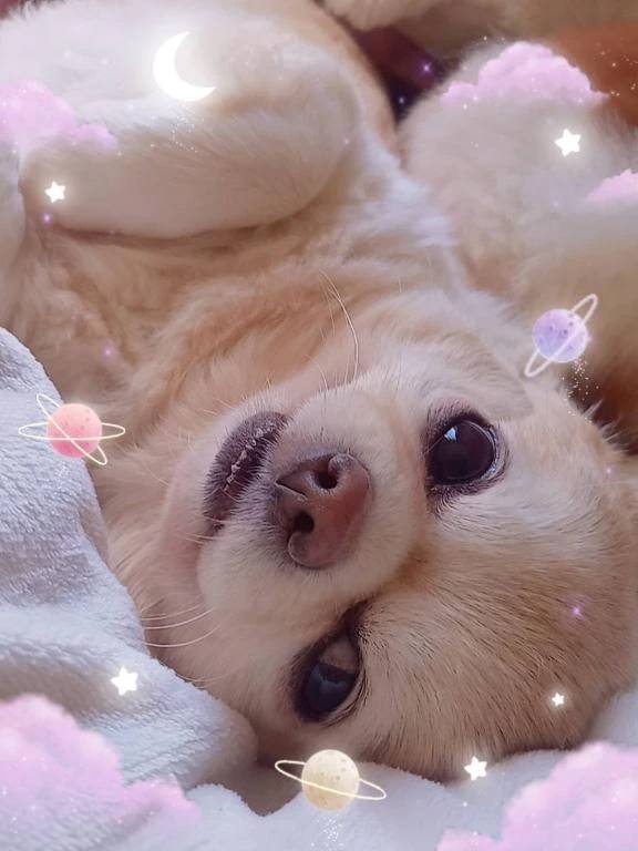 癒し癒し癒し💞💞