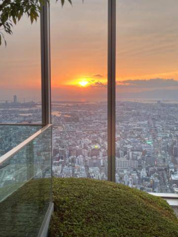 綺麗な夕日