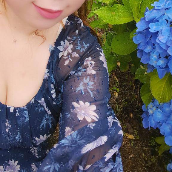 ?紫陽花とおっぱいと私。