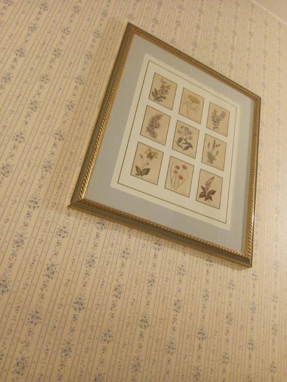 びぃーなすのお客様☆