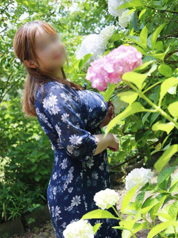 ?夏の私の相棒