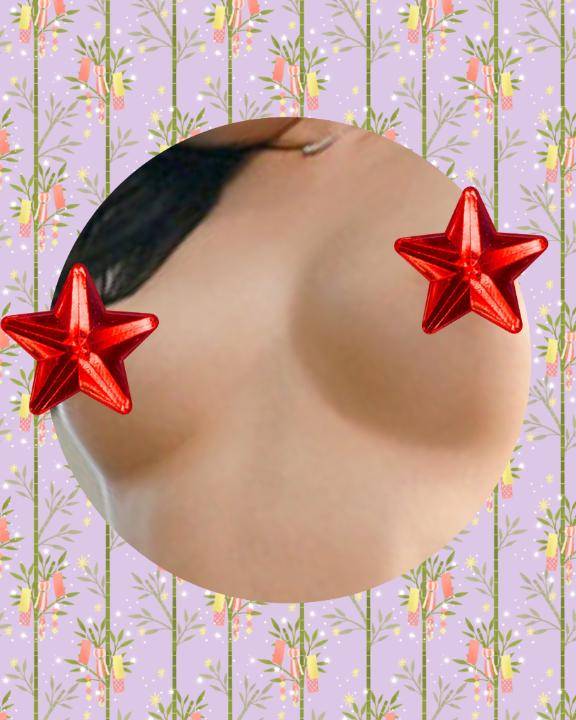 ?乙女の願い事?