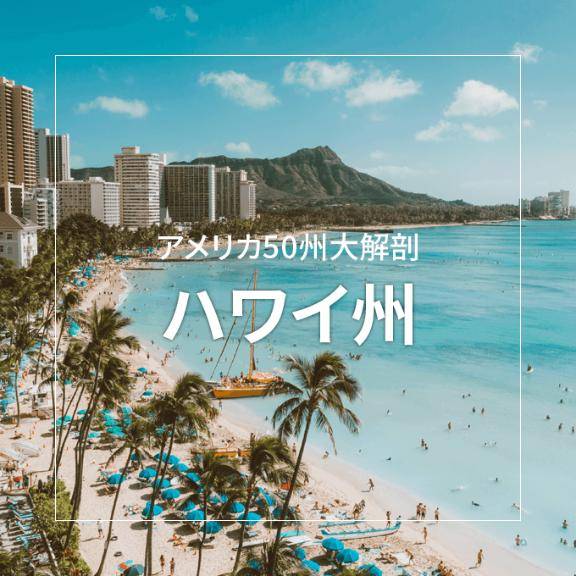 ?ビーチで燃える夏の恋?