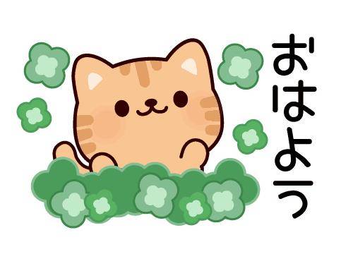 ?朝からドキドキ?