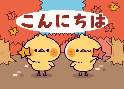 ?隠れた魅力を覗き見?