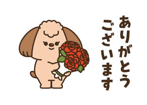 ?お兄様に感謝?