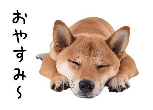 ?おやすみなさい?