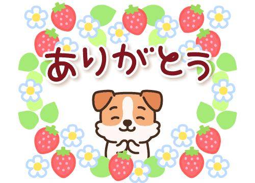 ?お兄様に感謝?