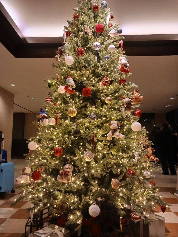 来月はクリスマスですね☆