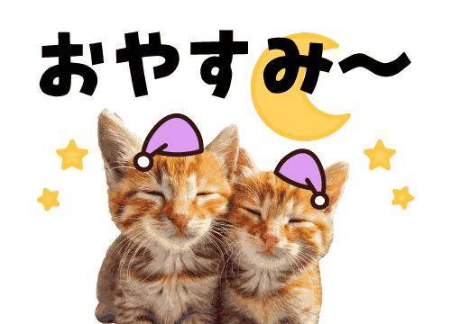 ?おやすみの挨拶?