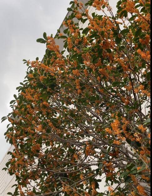 [お題]from:シャボンさん