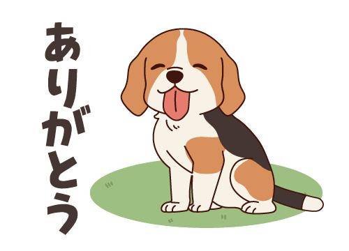 ?いつもありがとうございます?