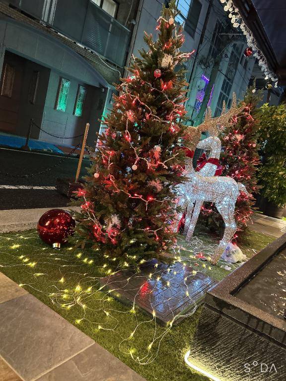 カルティニのお客様??