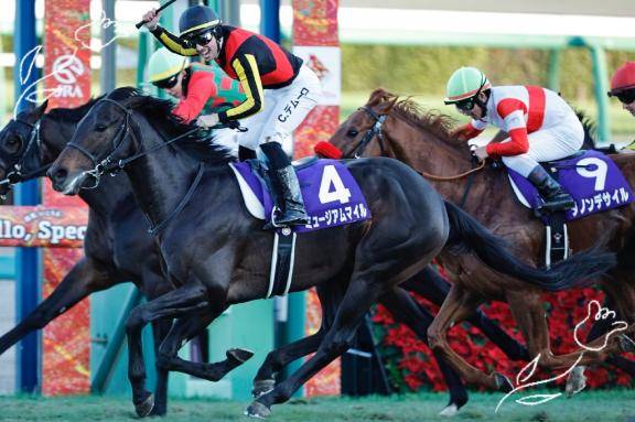 明けましておめでとうございます！今年も、エロしくお願いします！