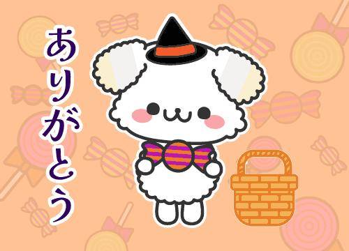 ?恋のドキドキ体験?