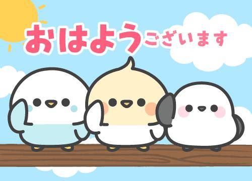 ?16日の朝のエール?