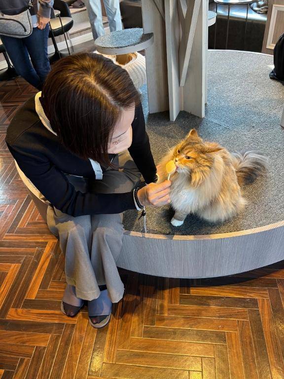 [お題]from:かわいすぎ?さん