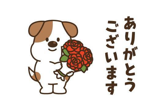 ?かほを応援してくれてありがとうございます?