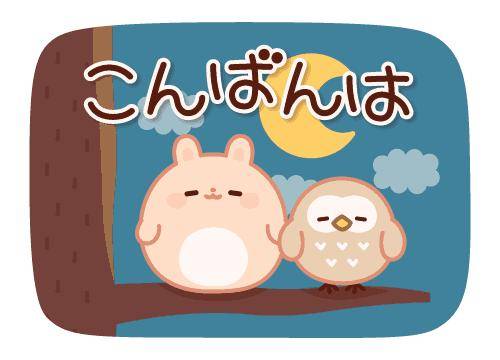 ?秘密の癒しはいかが？?