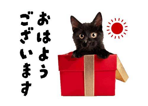 ?会いたい気持ち、抑えられない?