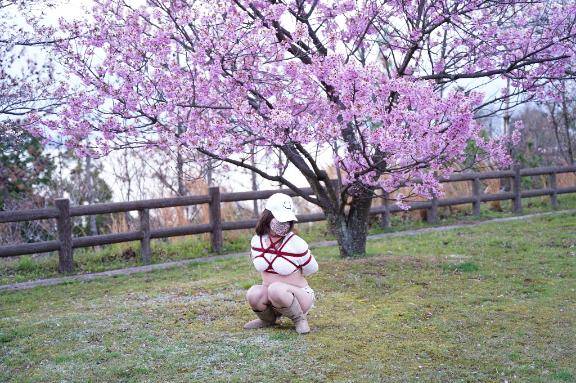 貴方の頭の中を菜の花畑にしてあげる?
