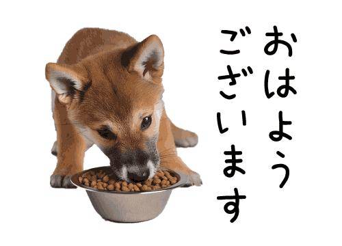 ?22日の朝のエール?