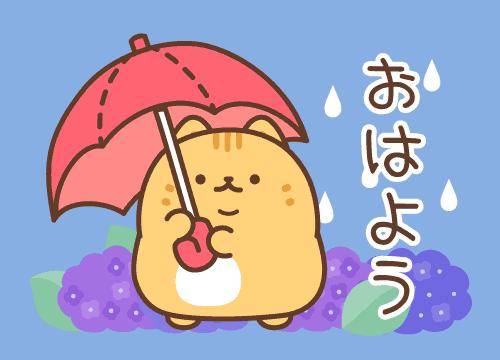 ?23日の朝のエール?