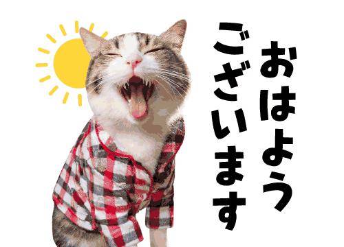 ?兄さんに会いたい、熱い朝?