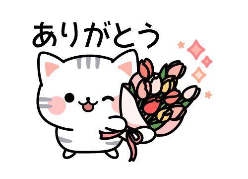 ?ドキドキが止まらない?