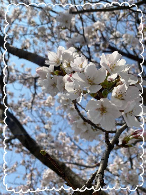 のぞみ(広島デリバリーヘルス 人妻ご近所物語)