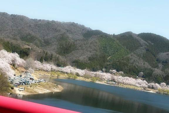 お久しぶりです♪