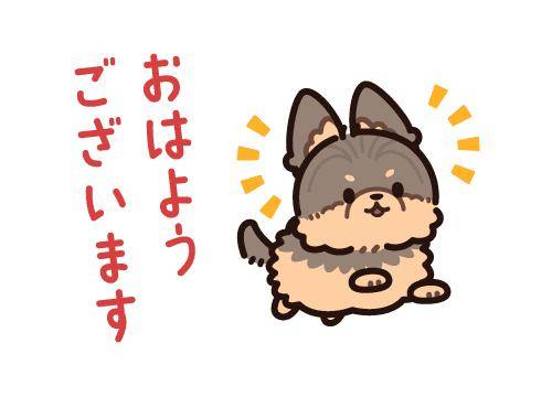 ?お兄さんに会いたい…??