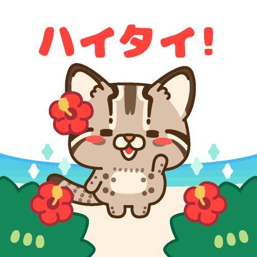 ?13日の夜のねぎらい?