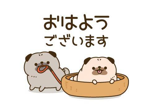 ?秘密の癒しタイム?