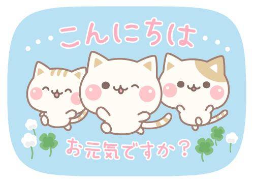 ?15日の昼のエール?