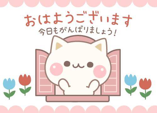 ?16日の朝のエール?