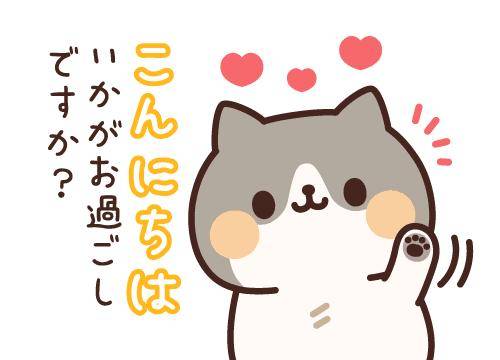 ?16日の昼のエール?