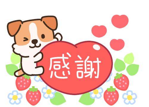 ?応援してくれてありがとうございます?