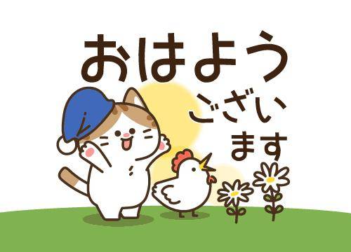 ?朝からドキドキの展開?