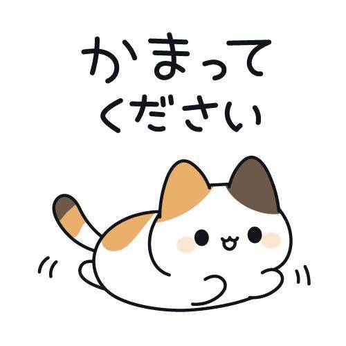 ?今夜20時30分からの空き枠?
