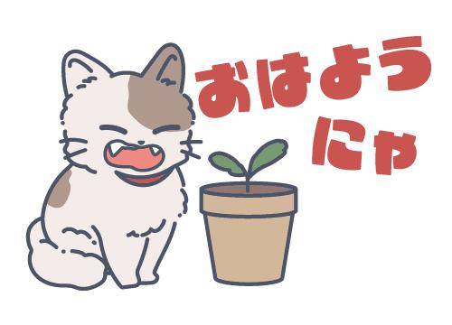 ?朝からドキドキ?
