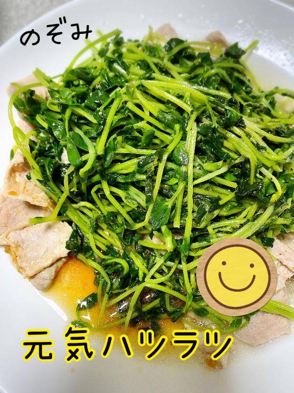 こんばんワン♪