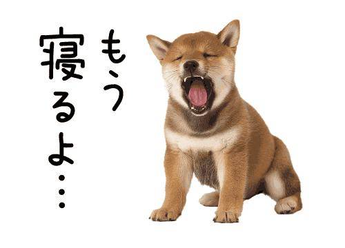 ?魅惑のハニートラップ?
