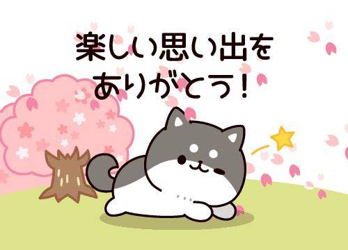 ?恋する乙女の物語?