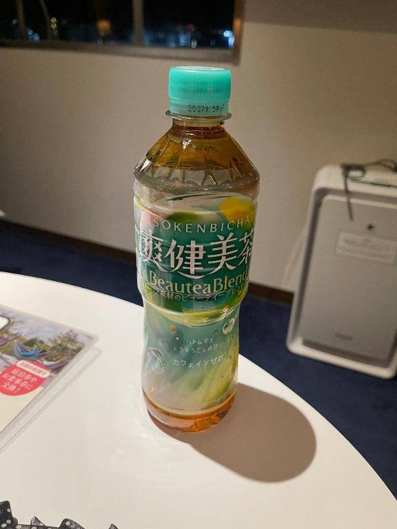 オリエンタルのTくん?