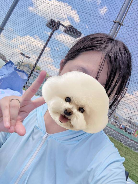 ?家族ディー?