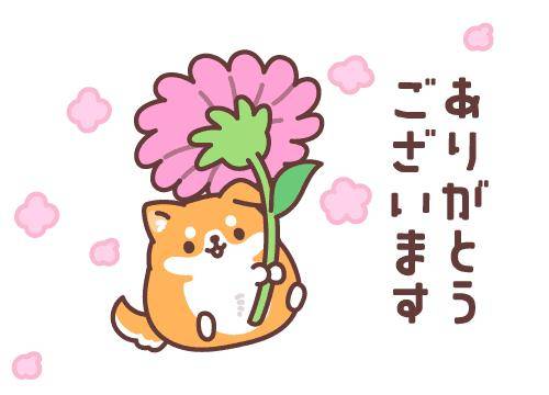 ?特別な関係、秘密の時間?