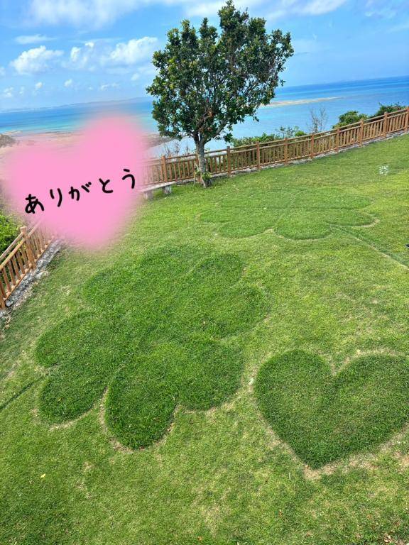 ありがとう?