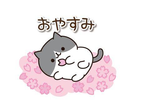 ?明日は特別な日?